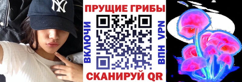Купить где  Наволоки  Псилоцибиновые грибы Cubensis 